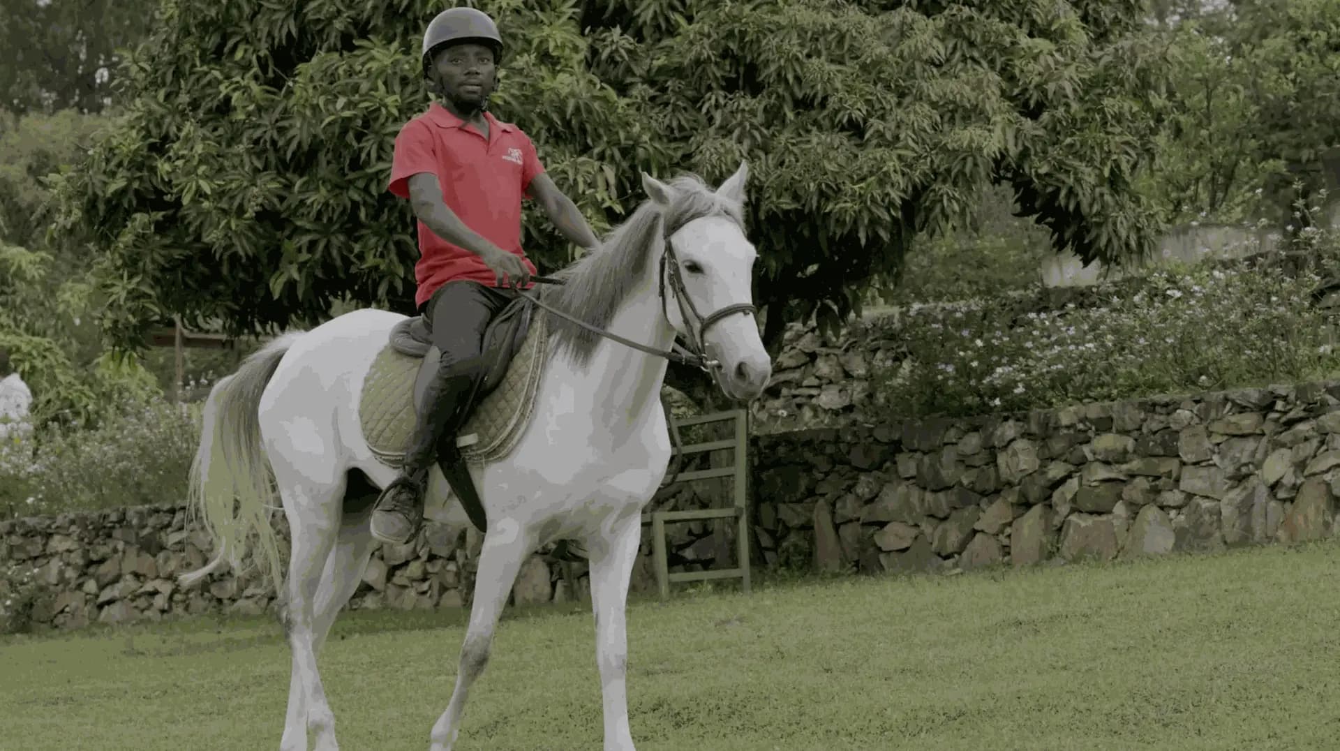 A young rider in a helmet and red polo shirt on a grey horse in the riding arena, guided across the grass.